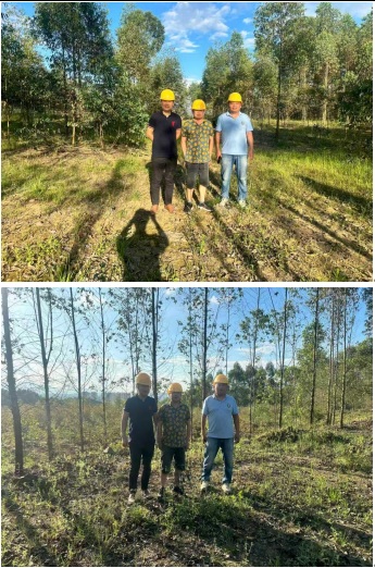 怀集县坳仔南塘石场有限公司怀集县坳仔镇南塘村三号山砂岩石场排土场新建项目安全设施验收评价