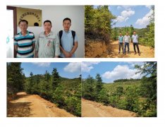 广东省封开县大排矿区建筑用花岗岩矿新建年产1100万立方米建筑用花岗岩露天开采项目安全预评价