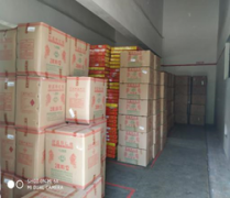 广州市从安烟花炮竹有限公司烟花爆竹经营（批发）企业安全现状评价报告