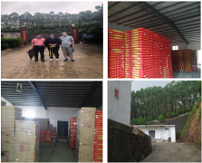 惠州市瑞声烟花爆竹有限公司烟花爆竹经营（批发）企业安全现状评价报告