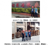 深圳市中金岭南有色金属股份有限公司韶关冶炼厂含锌渣烟化炉吹炼资源化利用与环保升级改造项目安全预评价报告