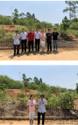 稀美资源（广东）有限公司年产600吨高纯高性能钽铌金属新材料建设项目安全评价报告