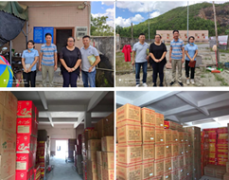 海丰县日用杂品公司烟花爆竹经营（批发）企业安全现状评价报告