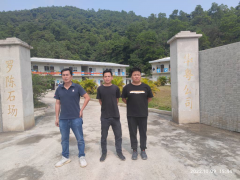 新兴县华粤石业有限公司罗陈石场.